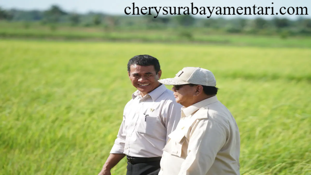 Mentan Amran Minta Harga Beras Premium dan Medium