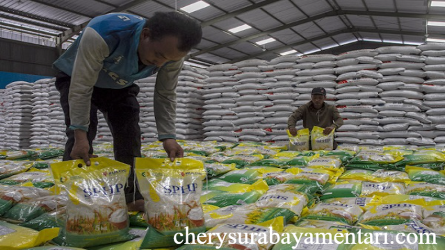 Pemerintah Dorong Bulog Percepat Distribusi Beras SPHP